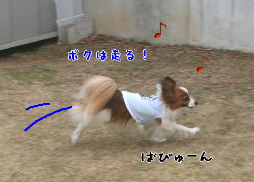 d0013149_8243693.jpg
