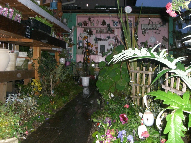 f0083649_18461437.jpg