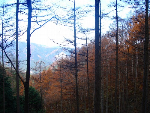 c0119160_1358130.jpg
