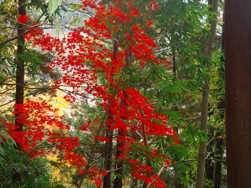 c0119160_143291.jpg