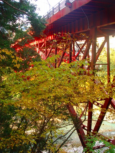 c0119160_147654.jpg
