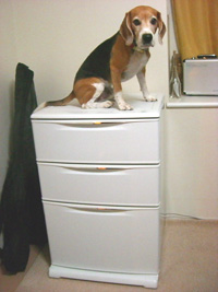 e0007060_22522279.jpg