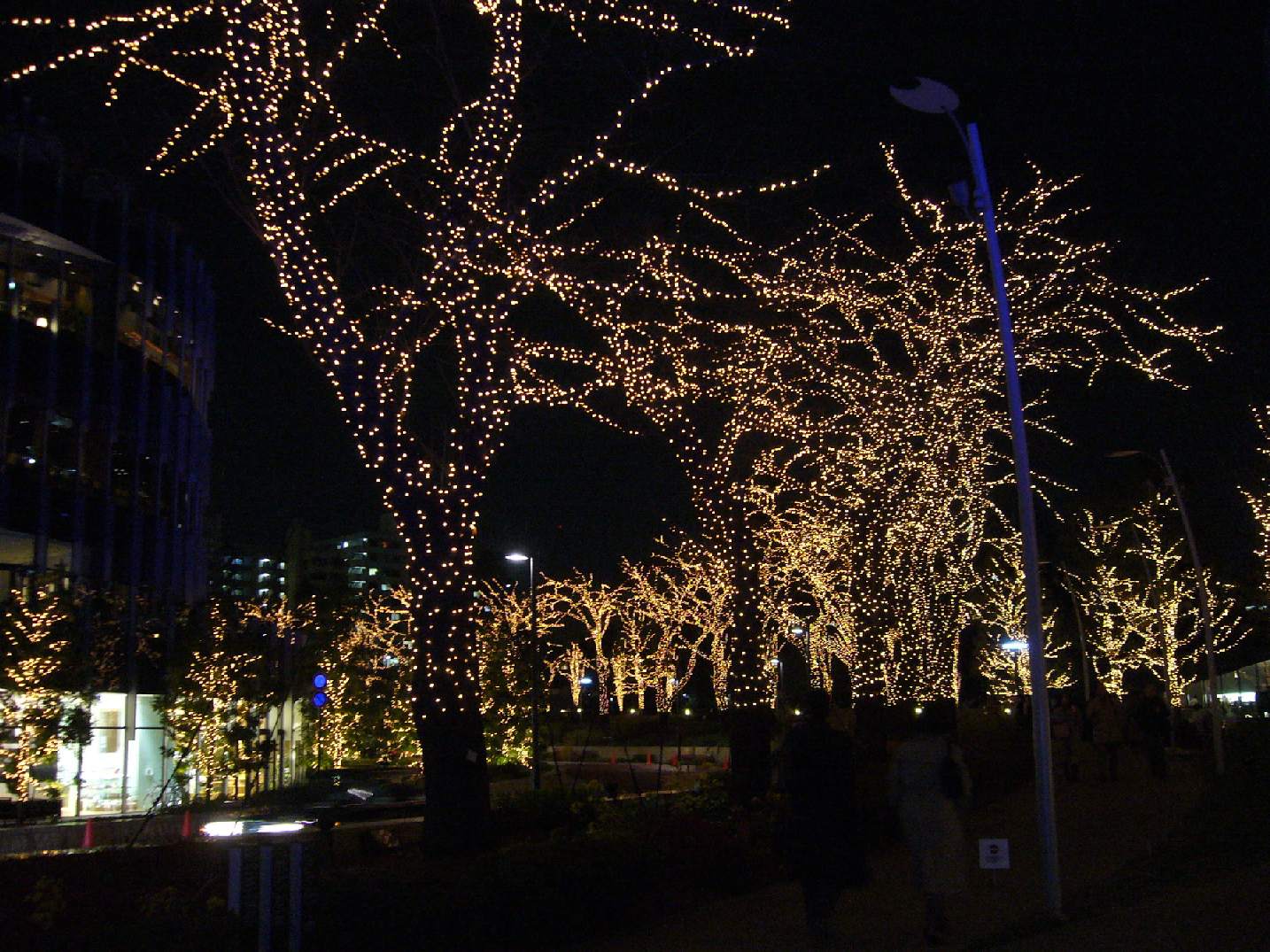 f0157268_11343262.jpg