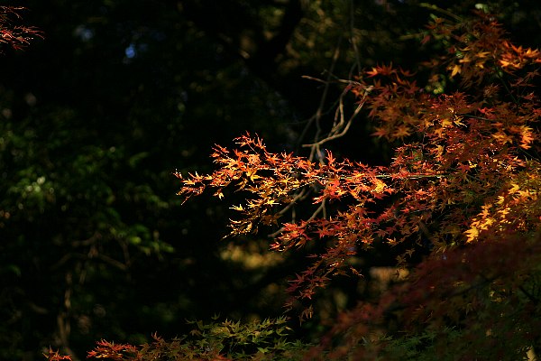b0084270_1384282.jpg