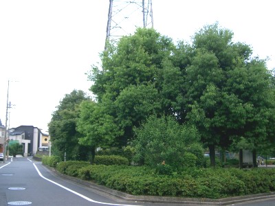 c0112172_646529.jpg