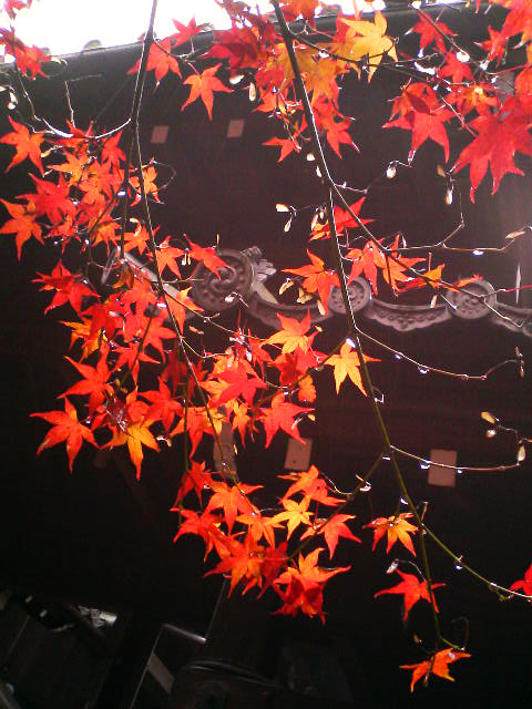 f0089079_2125378.jpg