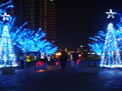 f0153479_1495442.jpg