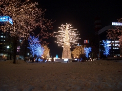 f0118282_2312720.jpg