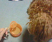 d0080091_210391.jpg