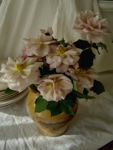 f0139397_15214773.jpg