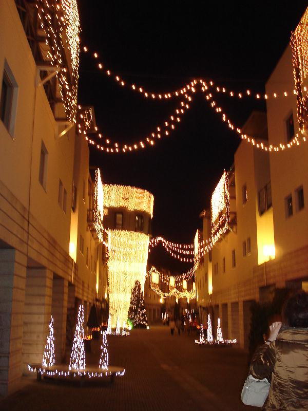 f0084806_10272939.jpg