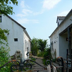d0111216_19221734.jpg