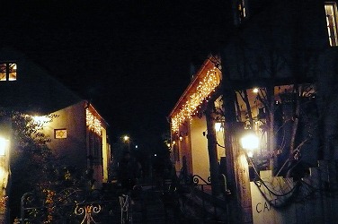 d0111216_19362743.jpg