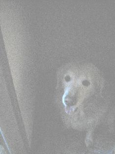 c0040218_2050664.jpg