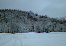 a0005321_15274097.jpg