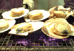 a0005321_15282822.jpg
