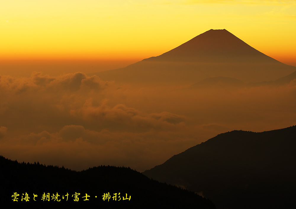 f0035323_1130515.jpg