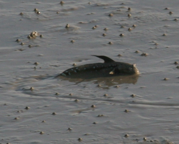 d0116625_12465795.jpg