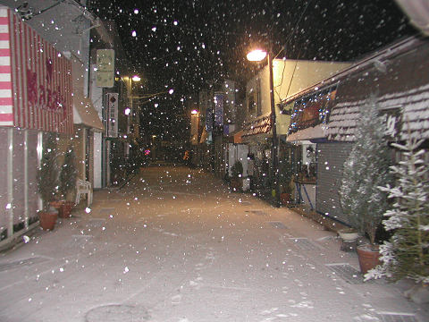 d0046531_0325429.jpg