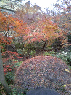c0025033_21574424.jpg