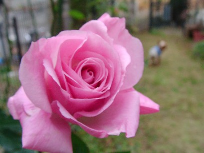 f0002833_0942100.jpg