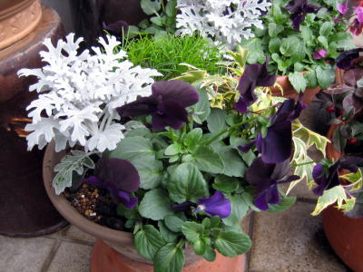c0147952_2153152.jpg