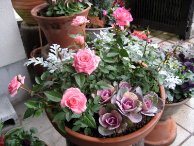 c0147952_2154332.jpg