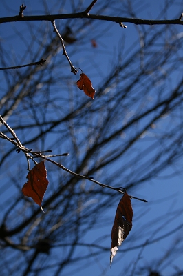 e0057760_8344233.jpg