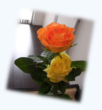 d0097364_16182349.jpg