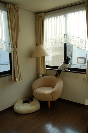 f0065768_01441.jpg