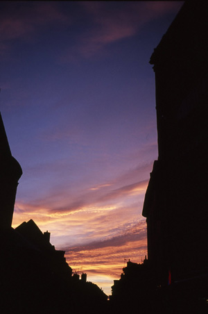 d0045372_1431362.jpg