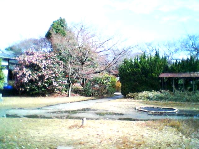 e0031572_18282235.jpg