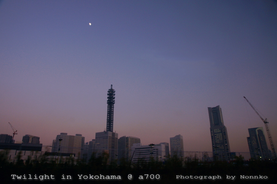 c0106977_20125286.jpg