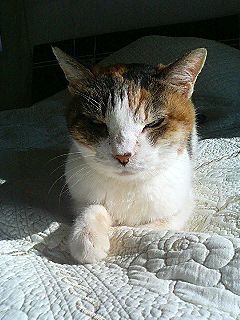 f0054677_8325642.jpg