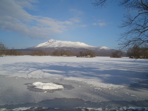 f0118282_8341282.jpg