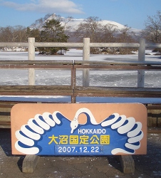 f0118282_9105598.jpg