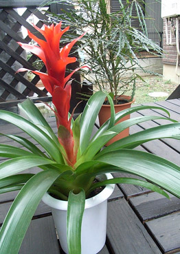 c0096393_0231343.jpg
