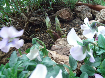 c0096393_0255531.jpg