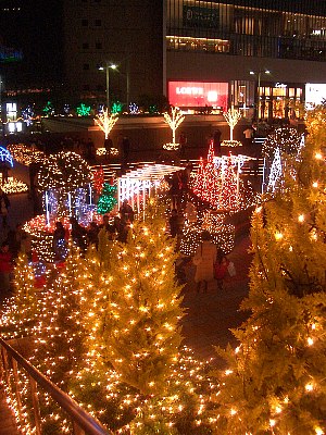 a0051402_22421022.jpg