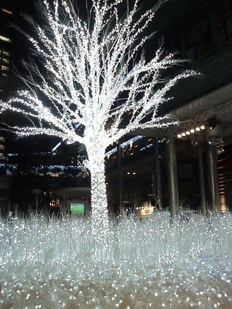 c0129702_23304781.gif