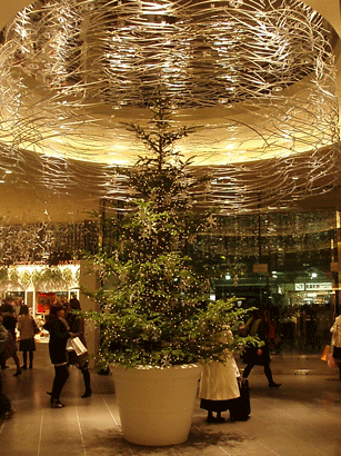 c0129702_23463416.gif