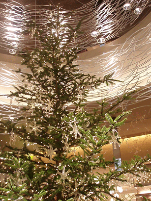c0129702_23481921.gif