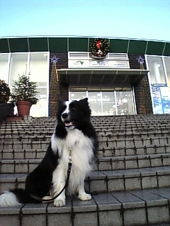 f0102308_7473740.jpg