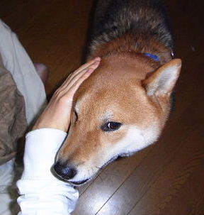f0152315_2325791.jpg