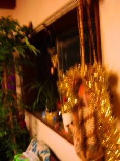 e0124916_1083052.jpg