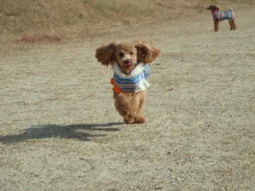 e0119017_1371519.jpg