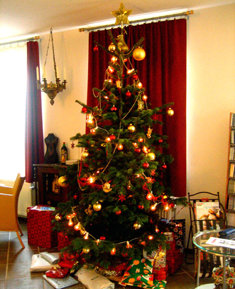 f0121120_1592945.jpg