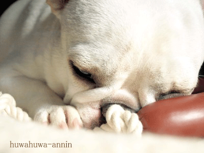 f0155120_1353231.gif