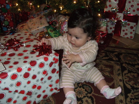 c0151122_10343695.jpg