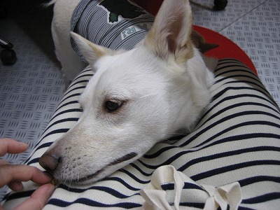 b0006329_22575415.jpg